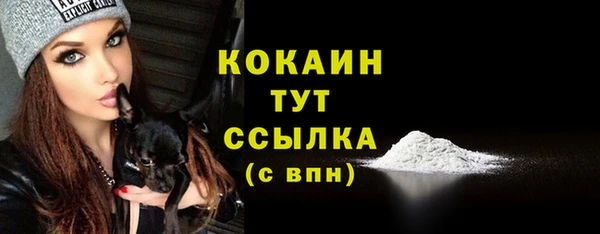 амф Кукмор