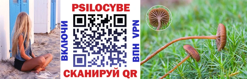 Купить закладки  Павловская  Псилоцибиновые грибы мицелий 
