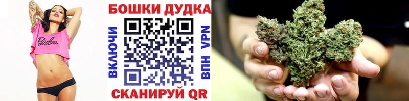 Конопля SATIVA & INDICA  Купить  Павловская 